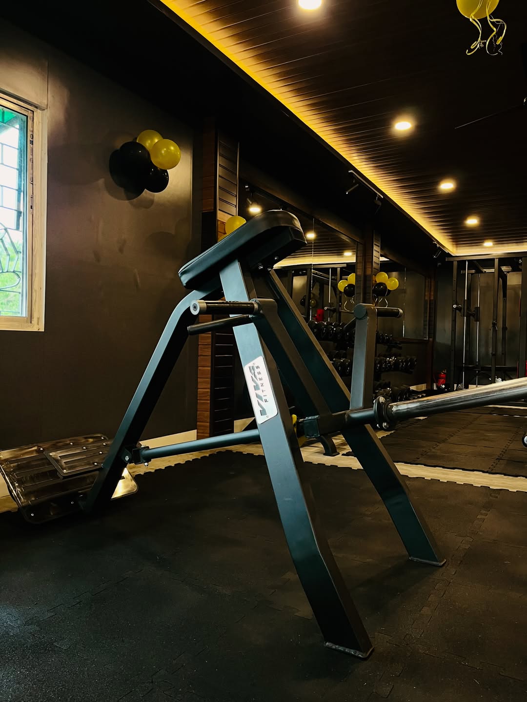 Elite Fitness interior view 14