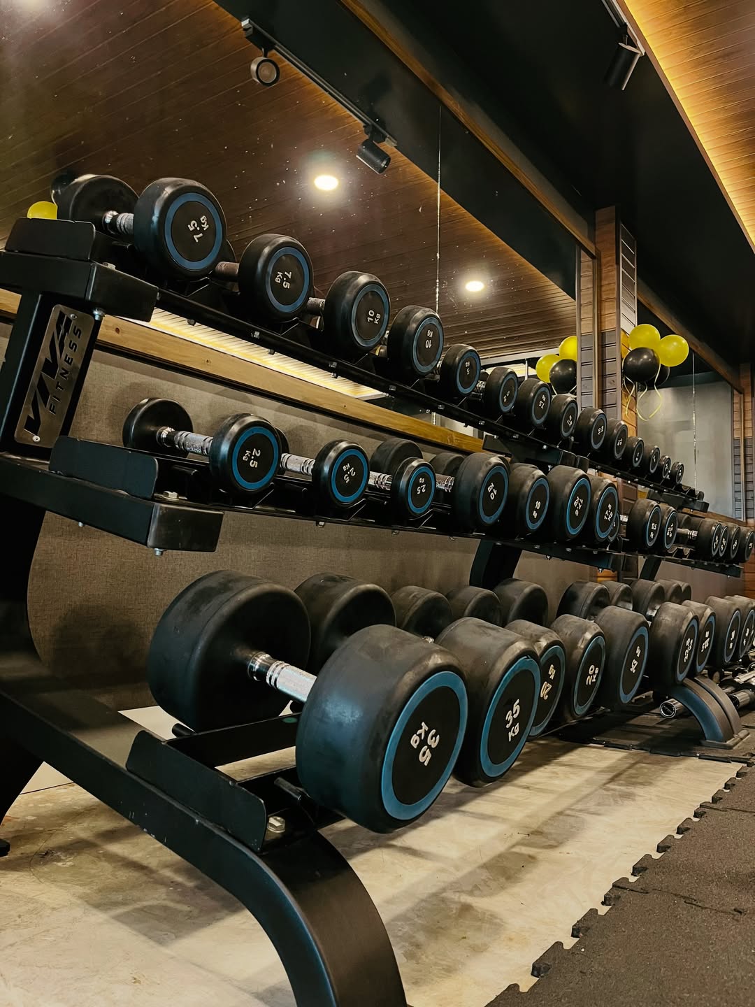 Elite Fitness interior view 13